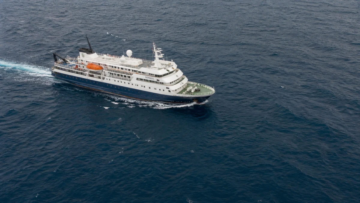 Drei Tote nach Hantavirus-Verdacht auf Kreuzfahrtschiff „MV Hondius“
