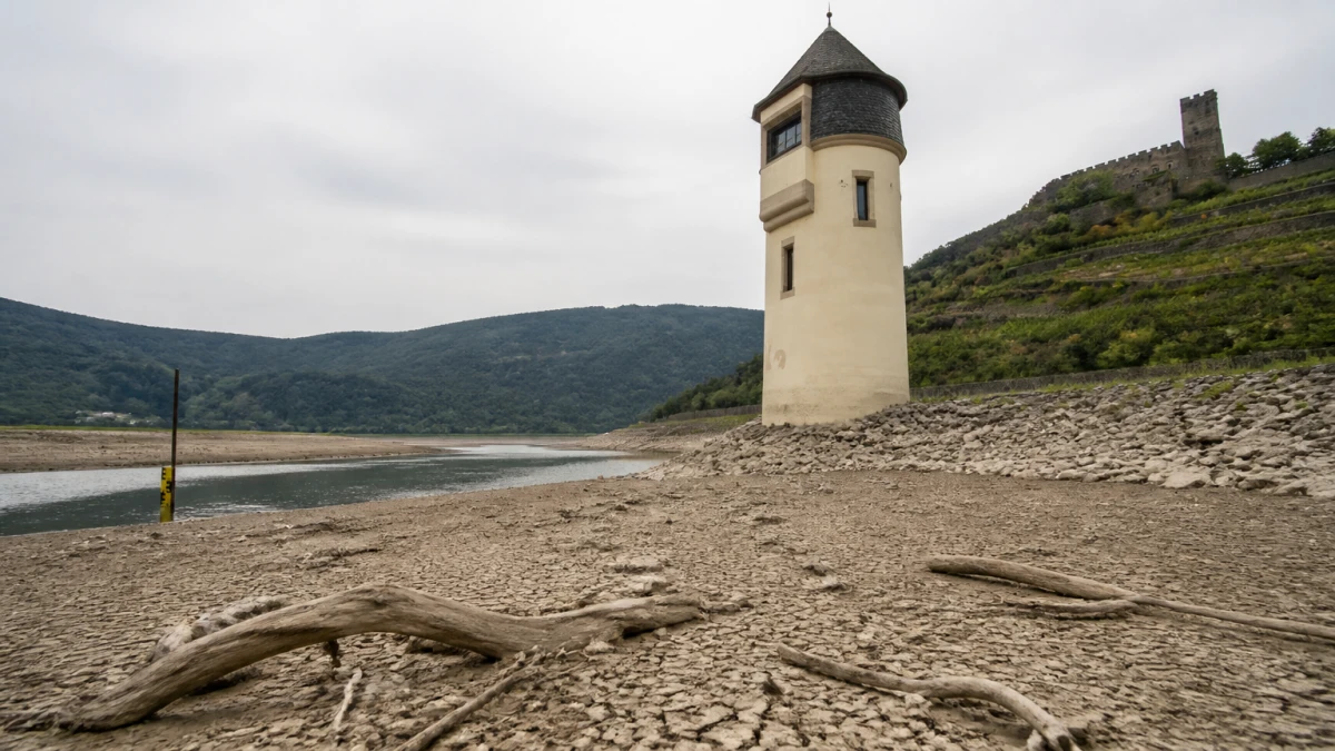 Rhein fällt auf 6 Zentimeter – Schifffahrt praktisch lahmgelegt