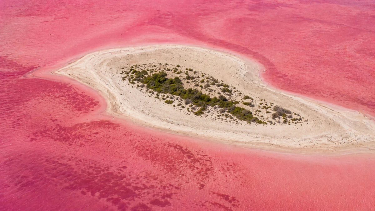 Ein Strand in Mirbat im Oman ist von angespülten roten Garnelen und Krill rot-pink verfärbt.