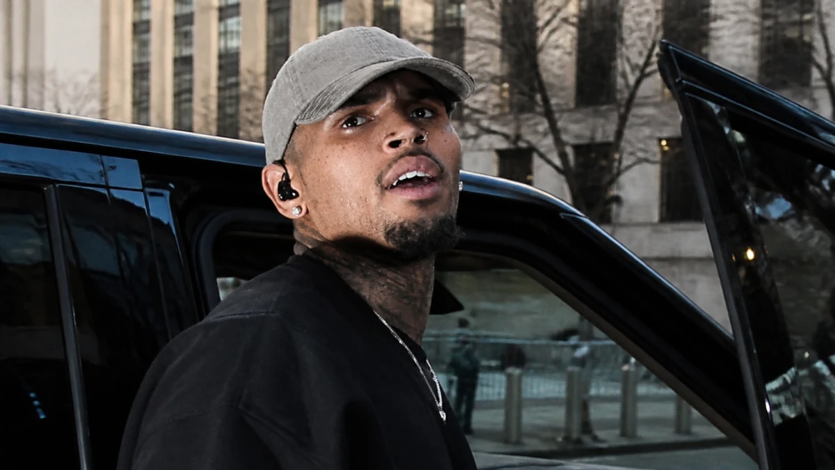 13-Millionen-Dollar-Urteil gegen Chris Brown nach Hundeattacke auf Haushälterin