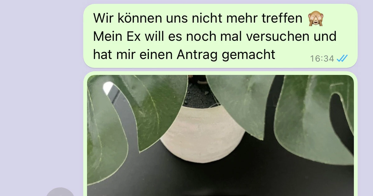Plötzlich kam der Heiratsantrag