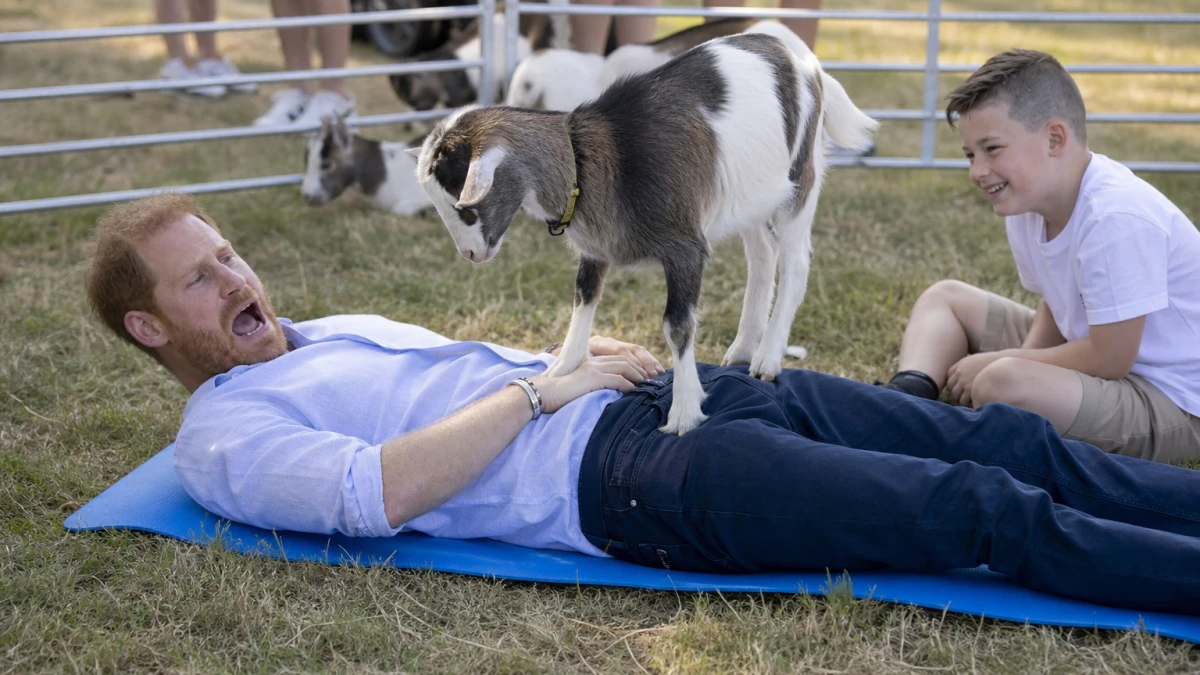 Ziege tritt Prinz Harry in den Schritt – royales Yoga endet im Slapstick