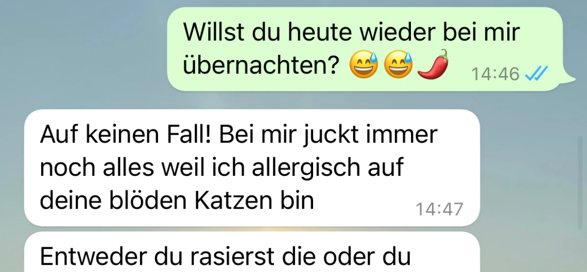 Er kommt nicht mit ihren Katzen klar