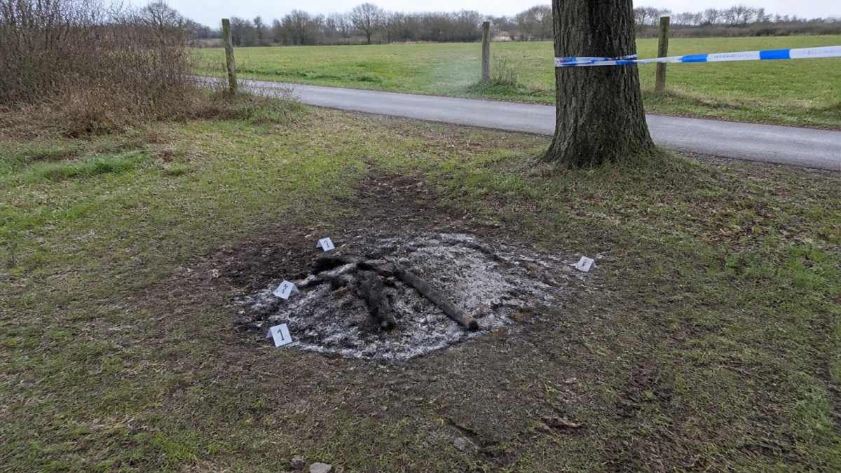 Schaf in Oelstorf gestohlen und gegrillt: Polizei verweigert Auskunft über Tatverdächtigen