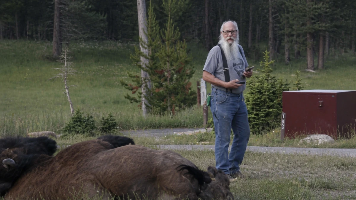 Bison schleudert Großvater in die Luft: Park weigert sich, das Tier zu töten
