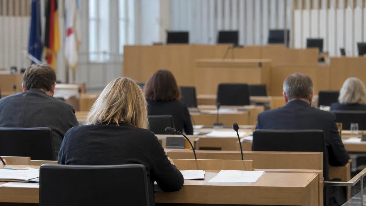 AfD drohen im Schweriner Landtag Ordnungsgelder bis 15.000 Euro